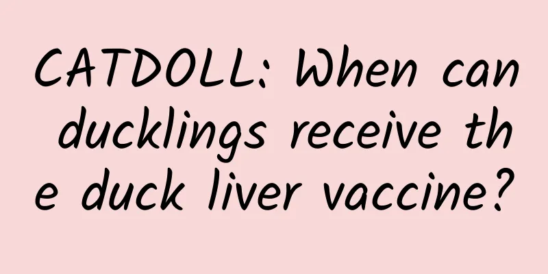 CATDOLL: When can ducklings receive the duck liver vaccine?