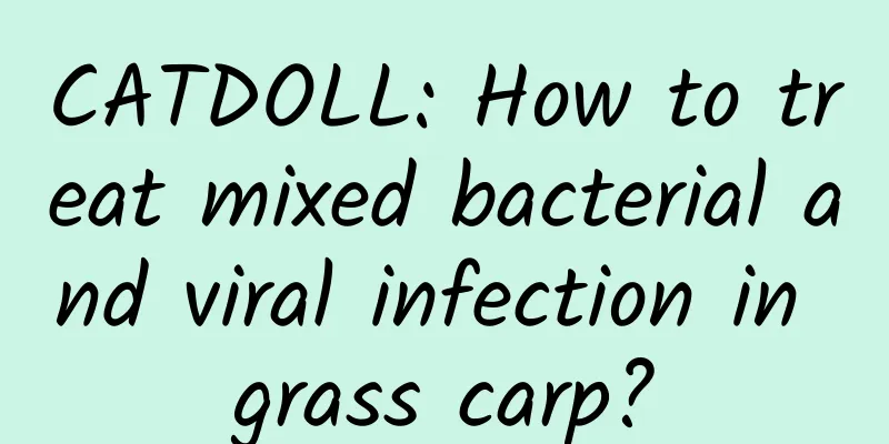 CATDOLL: How to treat mixed bacterial and viral infection in grass carp?