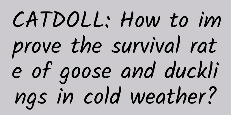 CATDOLL: How to improve the survival rate of goose and ducklings in cold weather?