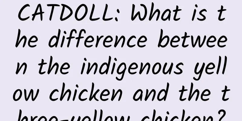 CATDOLL: What is the difference between the indigenous yellow chicken and the three-yellow chicken?