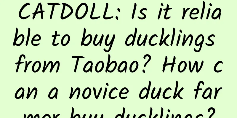 CATDOLL: Is it reliable to buy ducklings from Taobao? How can a novice duck farmer buy ducklings?