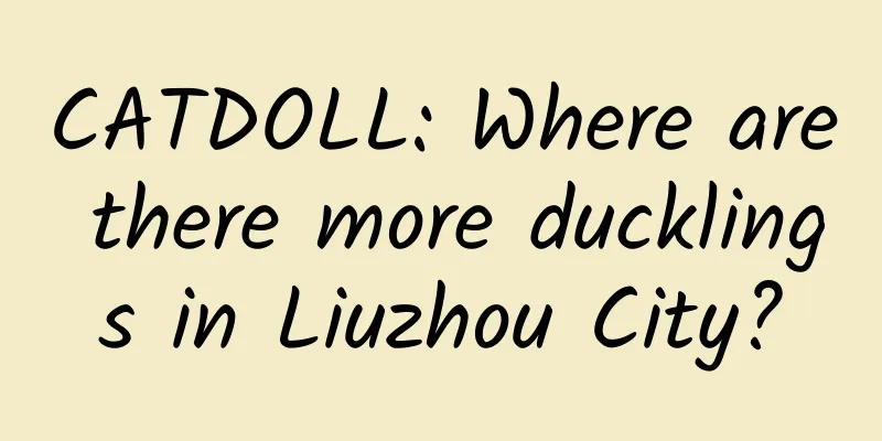 CATDOLL: Where are there more ducklings in Liuzhou City?