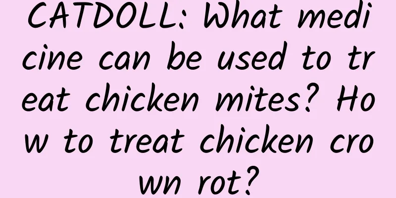 CATDOLL: What medicine can be used to treat chicken mites? How to treat chicken crown rot?