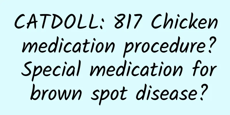 CATDOLL: 817 Chicken medication procedure? Special medication for brown spot disease?