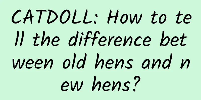 CATDOLL: How to tell the difference between old hens and new hens?