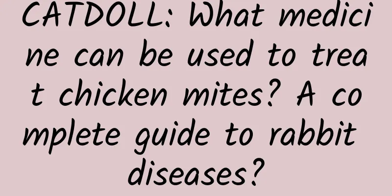 CATDOLL: What medicine can be used to treat chicken mites? A complete guide to rabbit diseases?
