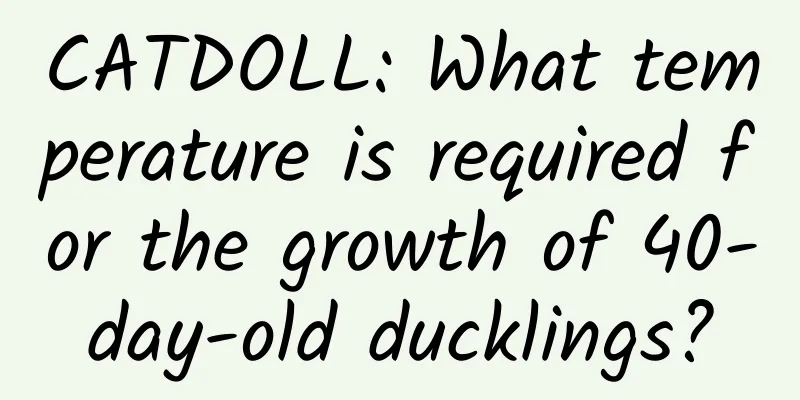 CATDOLL: What temperature is required for the growth of 40-day-old ducklings?