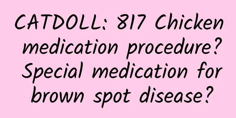 CATDOLL: 817 Chicken medication procedure? Special medication for brown spot disease?