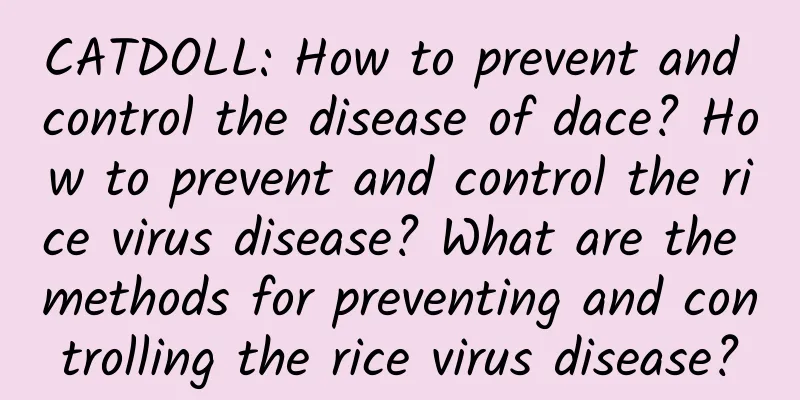 CATDOLL: How to prevent and control the disease of dace? How to prevent and control the rice virus disease? What are the methods for preventing and controlling the rice virus disease?