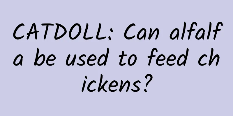 CATDOLL: Can alfalfa be used to feed chickens?