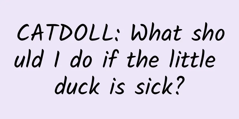 CATDOLL: What should I do if the little duck is sick?