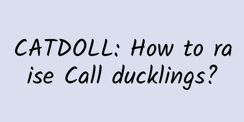 CATDOLL: How to raise Call ducklings?