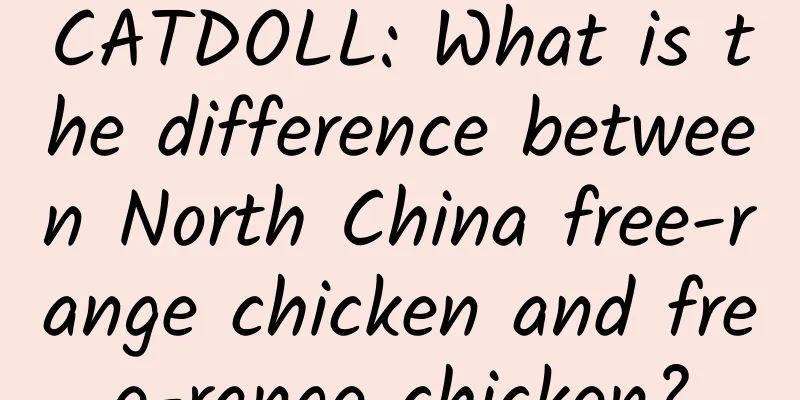 CATDOLL: What is the difference between North China free-range chicken and free-range chicken?