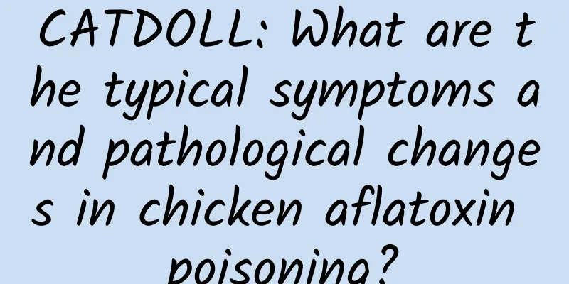 CATDOLL: What are the typical symptoms and pathological changes in chicken aflatoxin poisoning?