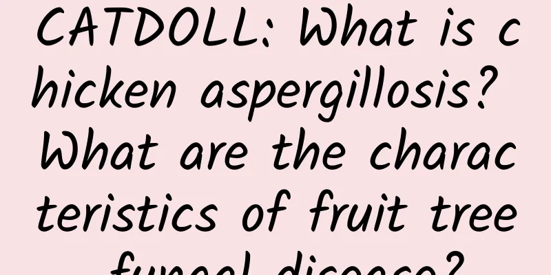 CATDOLL: What is chicken aspergillosis? What are the characteristics of fruit tree fungal disease?