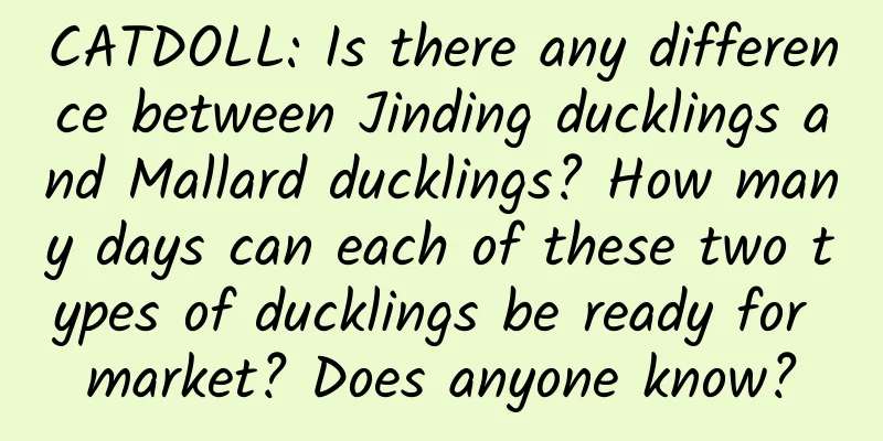 CATDOLL: Is there any difference between Jinding ducklings and Mallard ducklings? How many days can each of these two types of ducklings be ready for market? Does anyone know?