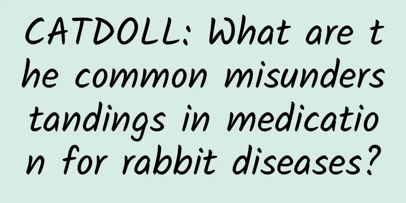 CATDOLL: What are the common misunderstandings in medication for rabbit diseases?