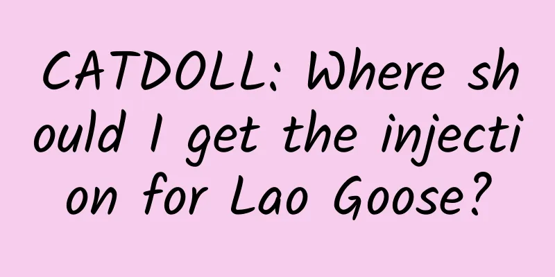 CATDOLL: Where should I get the injection for Lao Goose?