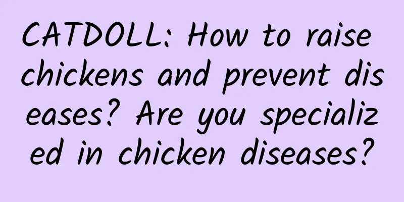 CATDOLL: How to raise chickens and prevent diseases? Are you specialized in chicken diseases?