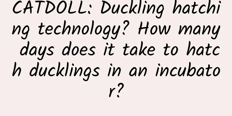 CATDOLL: Duckling hatching technology? How many days does it take to hatch ducklings in an incubator?