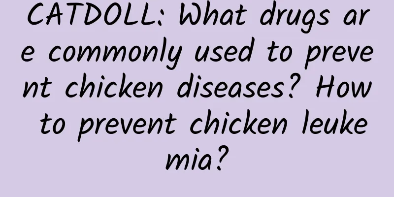 CATDOLL: What drugs are commonly used to prevent chicken diseases? How to prevent chicken leukemia?