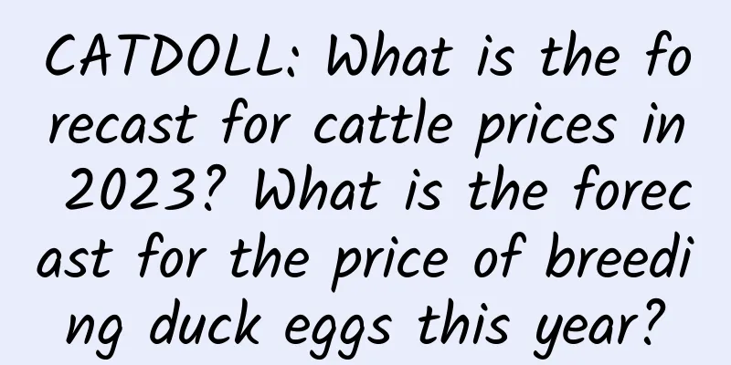 CATDOLL: What is the forecast for cattle prices in 2023? What is the forecast for the price of breeding duck eggs this year?