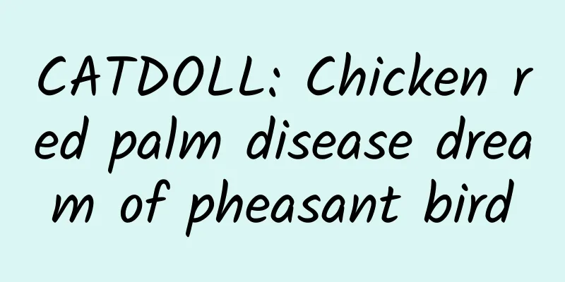 CATDOLL: Chicken red palm disease dream of pheasant bird