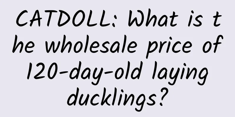 CATDOLL: What is the wholesale price of 120-day-old laying ducklings?