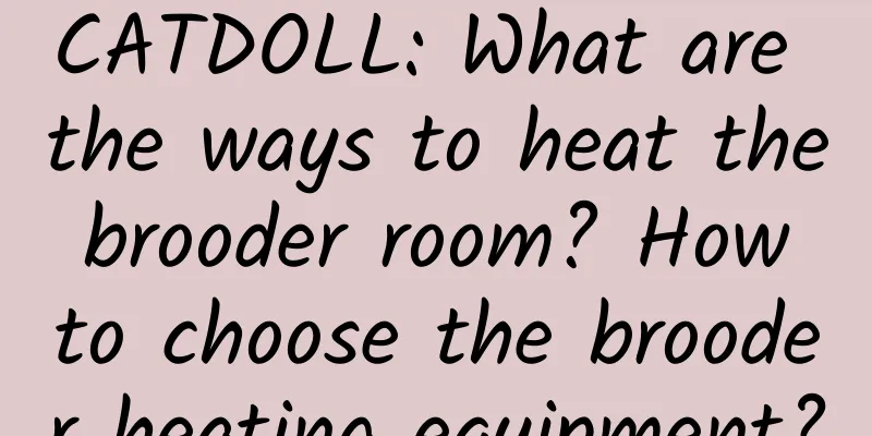 CATDOLL: What are the ways to heat the brooder room? How to choose the brooder heating equipment?