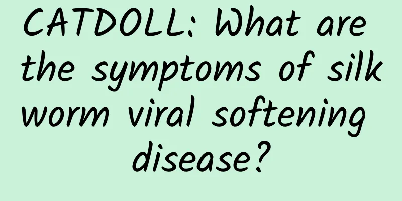 CATDOLL: What are the symptoms of silkworm viral softening disease?
