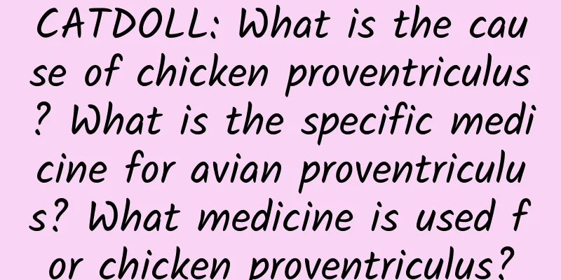 CATDOLL: What is the cause of chicken proventriculus? What is the specific medicine for avian proventriculus? What medicine is used for chicken proventriculus?