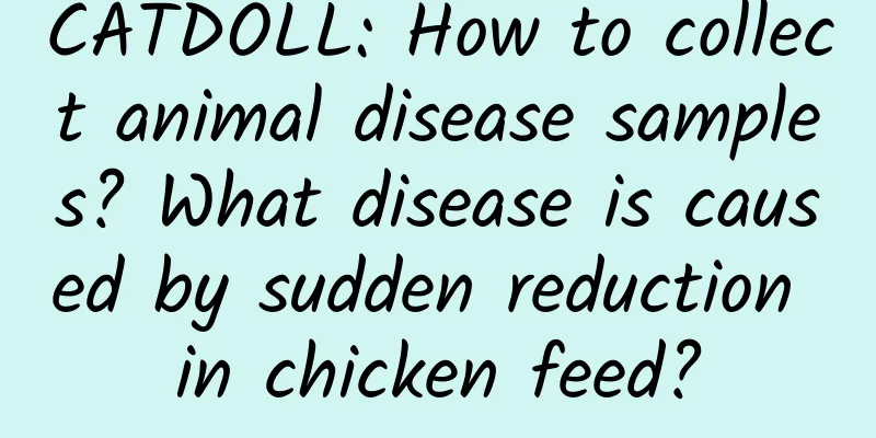 CATDOLL: How to collect animal disease samples? What disease is caused by sudden reduction in chicken feed?