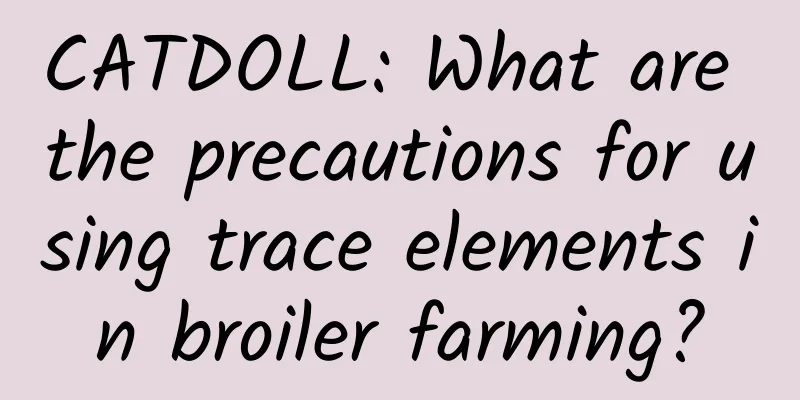 CATDOLL: What are the precautions for using trace elements in broiler farming?