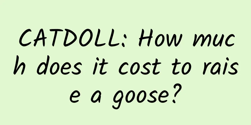 CATDOLL: How much does it cost to raise a goose?