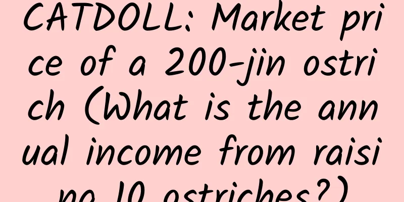 CATDOLL: Market price of a 200-jin ostrich (What is the annual income from raising 10 ostriches?)