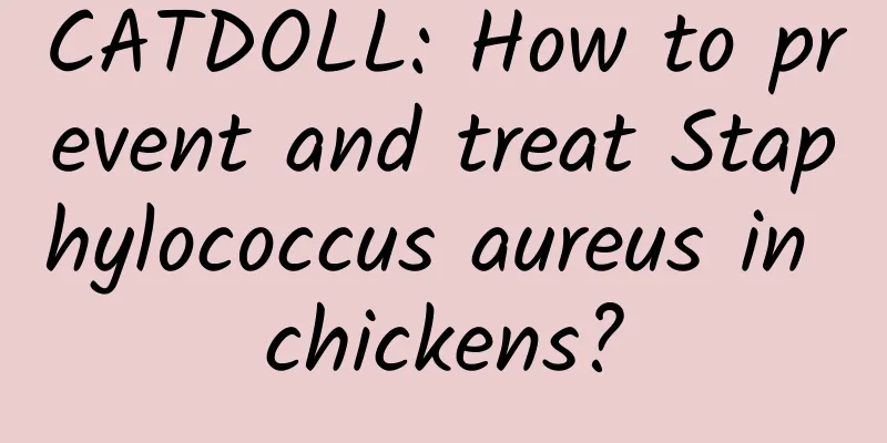 CATDOLL: How to prevent and treat Staphylococcus aureus in chickens?