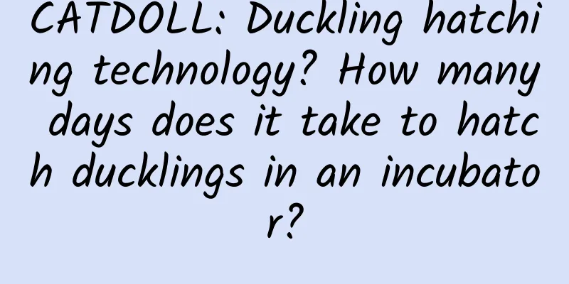 CATDOLL: Duckling hatching technology? How many days does it take to hatch ducklings in an incubator?