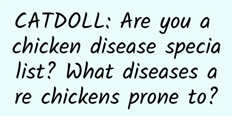 CATDOLL: Are you a chicken disease specialist? What diseases are chickens prone to?