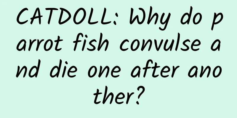 CATDOLL: Why do parrot fish convulse and die one after another?