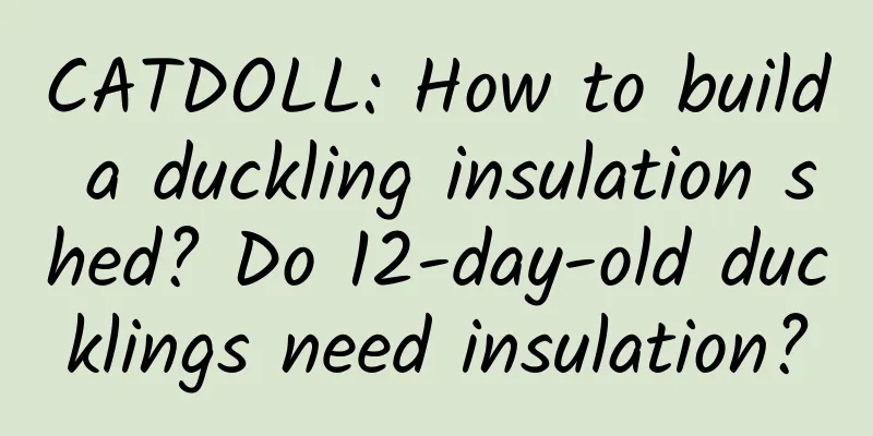 CATDOLL: How to build a duckling insulation shed? Do 12-day-old ducklings need insulation?