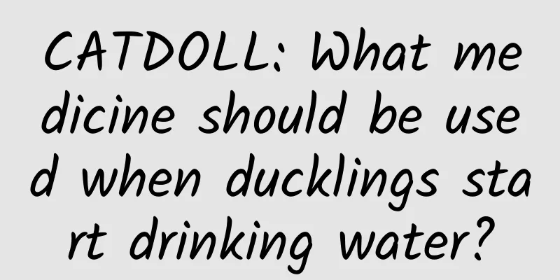 CATDOLL: What medicine should be used when ducklings start drinking water?