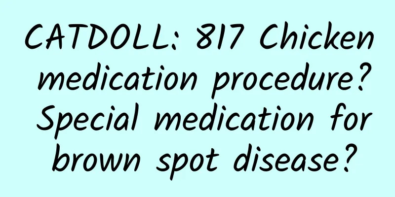 CATDOLL: 817 Chicken medication procedure? Special medication for brown spot disease?