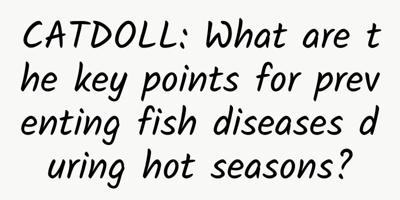 CATDOLL: What are the key points for preventing fish diseases during hot seasons?