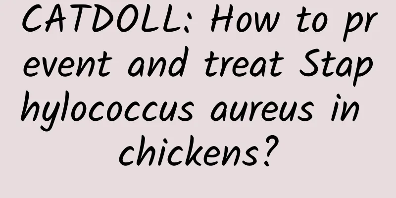 CATDOLL: How to prevent and treat Staphylococcus aureus in chickens?