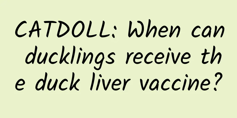 CATDOLL: When can ducklings receive the duck liver vaccine?
