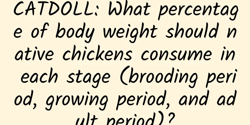 CATDOLL: What percentage of body weight should native chickens consume in each stage (brooding period, growing period, and adult period)?