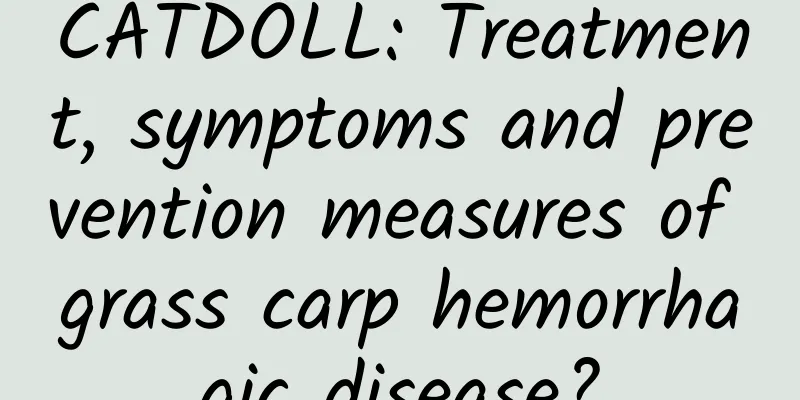 CATDOLL: Treatment, symptoms and prevention measures of grass carp hemorrhagic disease?