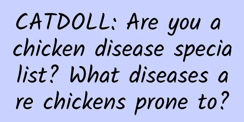 CATDOLL: Are you a chicken disease specialist? What diseases are chickens prone to?