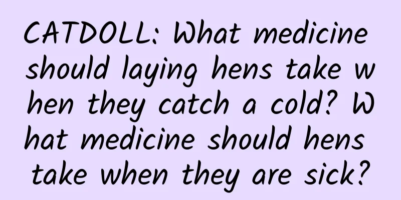 CATDOLL: What medicine should laying hens take when they catch a cold? What medicine should hens take when they are sick?
