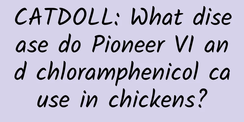 CATDOLL: What disease do Pioneer VI and chloramphenicol cause in chickens?